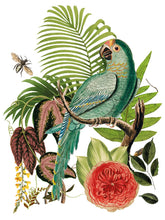 Load image into Gallery viewer, Bungalo - 8 Page Iron Orchid Designs Decor Transfer