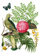 Load image into Gallery viewer, Bungalo - 8 Page Iron Orchid Designs Decor Transfer