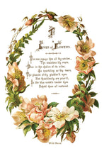 Load image into Gallery viewer, Lover of Flowers - Eight-Page Decor Transfer™ In 8" x 12" Pad Format