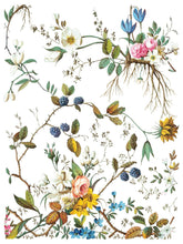 Load image into Gallery viewer, Lost Garden IOD Transfer 8-Page, 12x16 Pad