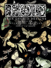 Load image into Gallery viewer, Entomology IOD Transfer - Four 12" x 16" Pages, Image Transfer, Rub-On Image by Iron Orchid Designs