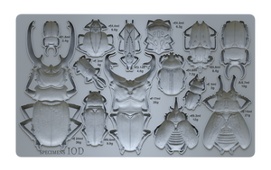 Specimens 6" x 10" Food Safe Silicone Decor Mould (mold) by Iron Orchid Designs