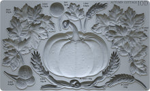 Load image into Gallery viewer, Autumn Cottage 6x10 IOD Mould
