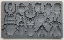 Load image into Gallery viewer, Specimens 6&quot; x 10&quot; Food Safe Silicone Decor Mould (mold) by Iron Orchid Designs
