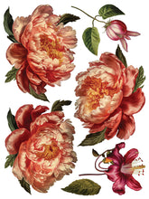 Load image into Gallery viewer, Collage de Fleurs - 8 Page IOD Decor Transfer
