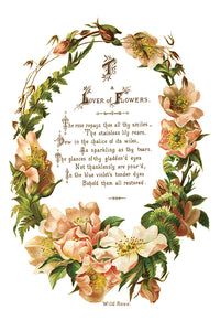 Lover of Flowers - Eight-Page Decor Transfer™ In 8" x 12" Pad Format