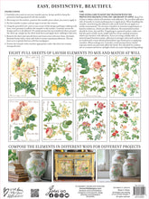 Load image into Gallery viewer, Rose Botanical - 8 Page IOD Transfer
