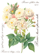 Load image into Gallery viewer, Rose Botanical - 8 Page IOD Transfer
