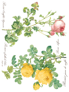 Rose Botanical - 8 Page IOD Transfer