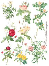 Load image into Gallery viewer, Rose Botanical - 8 Page IOD Transfer
