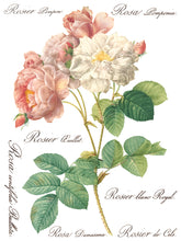 Load image into Gallery viewer, Rose Botanical - 8 Page IOD Transfer
