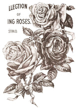 Load image into Gallery viewer, May&#39;s Roses Four-Page Decor Transfer™ In Pad Format
