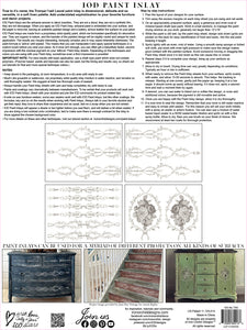 Trompe L'oeil Laurel 4 Page IOD Paint Inlay - RETIRED