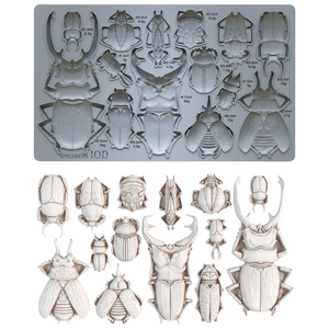 Specimens 6" x 10" Food Safe Silicone Decor Mould (mold) by Iron Orchid Designs