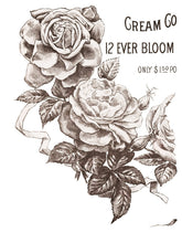 Load image into Gallery viewer, May's Roses Four-Page Decor Transfer™ In Pad Format
