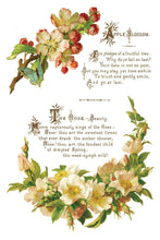 Load image into Gallery viewer, Lover of Flowers - Eight-Page Decor Transfer™ In 8" x 12" Pad Format
