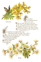 Load image into Gallery viewer, Lover of Flowers - Eight-Page Decor Transfer™ In 8" x 12" Pad Format
