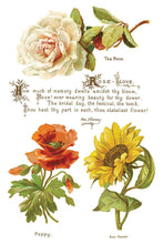Load image into Gallery viewer, Lover of Flowers - Eight-Page Decor Transfer™ In 8" x 12" Pad Format
