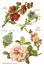 Load image into Gallery viewer, Lover of Flowers - Eight-Page Decor Transfer™ In 8" x 12" Pad Format
