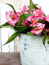 Load image into Gallery viewer, Pantry Door - Sweet Pickins Milk Paint
