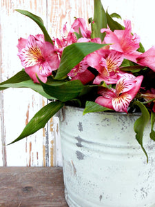 Pantry Door - Sweet Pickins Milk Paint