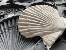 Load image into Gallery viewer, The Clamshell casting removed from the IOD Sea Shells mould.
